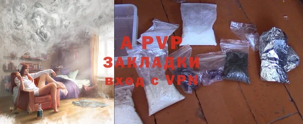шишки Козельск