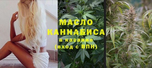 шишки Козельск