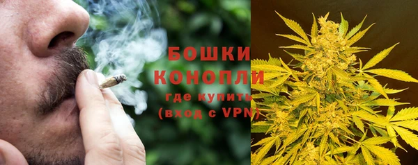 шишки Козельск