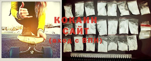 шишки Козельск