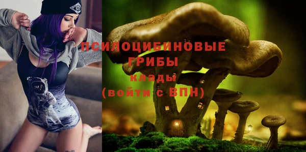 шишки Козельск