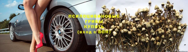 шишки Козельск