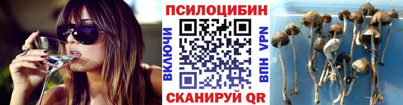 Купить закладки  Морозовск  Галлюциногенные грибы прущие грибы 